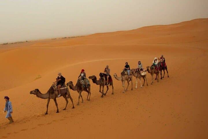 Overnight Camel Safari in Jaisalmer: Non-Touristic Thar Desert Experience photo 2