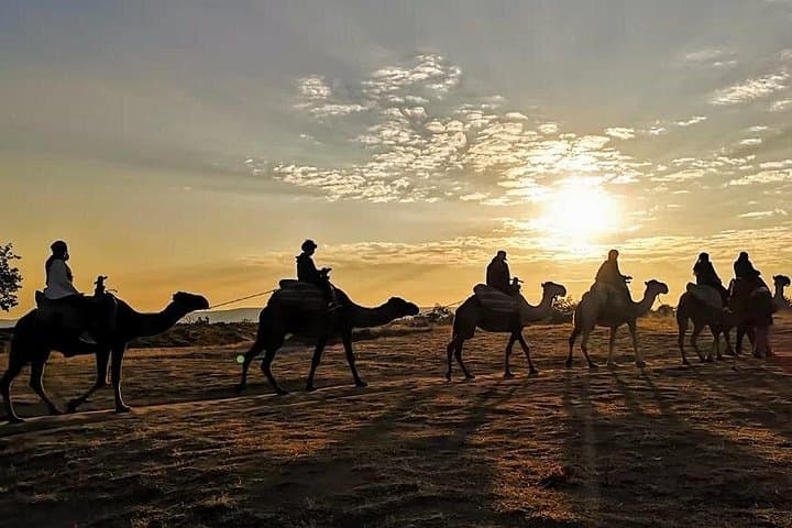Camel Safari in Cappadocia: Sunrise to Sunset Camel Rides through Red & Rose Valleys photo 2
