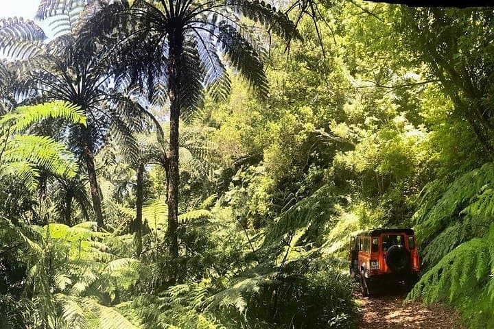Private Jeep Tour Santana: Full-Day East Madeira 4x4 Adventure photo 3