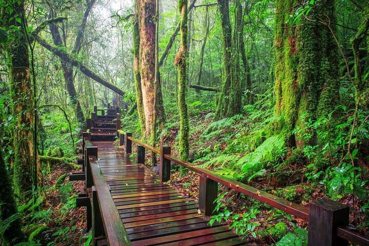 Day Trip to Doi Inthanon National Park — Roof of Thailand Waterfalls, Cloud Forest & Hill Tribe Markets photo 6