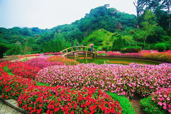 Day Trip to Doi Inthanon National Park — Roof of Thailand Waterfalls, Cloud Forest & Hill Tribe Markets photo 3