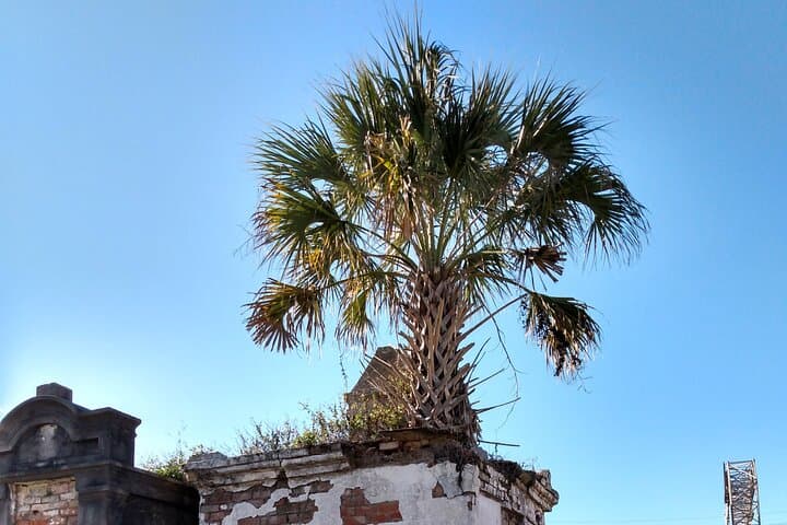 A Local's Garden District & French Quarter Walking Tour — Streetcars, Mansions, and Riverfront History photo 2