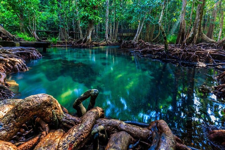 Krabi Jungle & Ao Thalane Kayak: Emerald Pool, Hot Springs & Mangrove Day Trip photo 3
