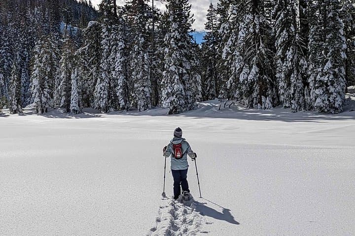 Snowshoe to Pauly's Point: Half-Day Guided Hike Near Palisades Tahoe photo 4