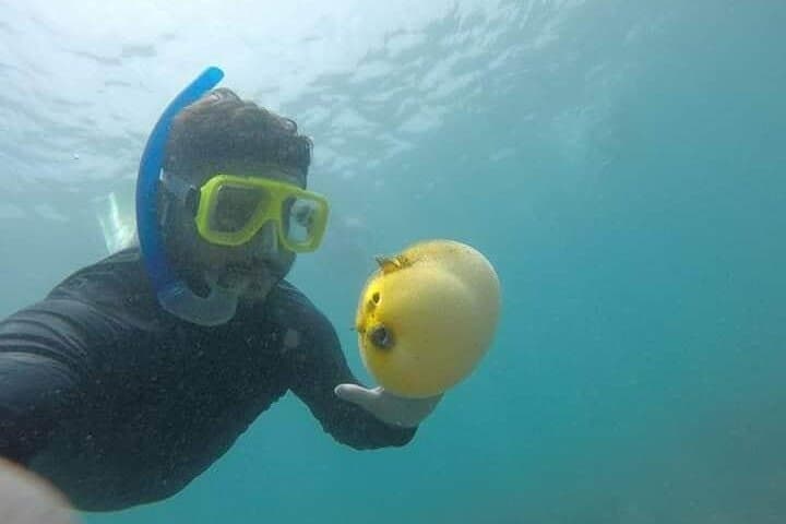 Snorkel and Kayak at Las Gatas Beach — Zihuatanejo Bay Day Trip