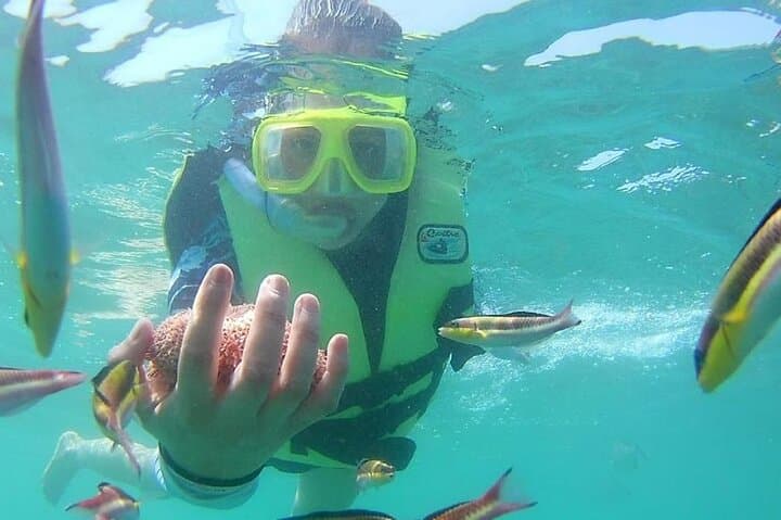 Snorkel and Kayak at Las Gatas Beach — Zihuatanejo Bay Day Trip photo 2