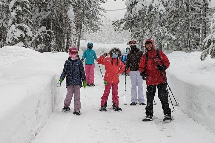 Introductory Snowshoe Tour in Tahoe National Forest — Beginner Winter Walks Near Palisades Tahoe photo 4