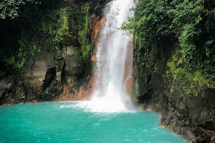 Rio Celeste Rain Forest Tour: Blue River, Llanos de Cortez & Rainforest Wildlife