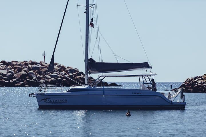 Private Luxury Boat Tours & Whale Watching in Cabo San Lucas photo 3
