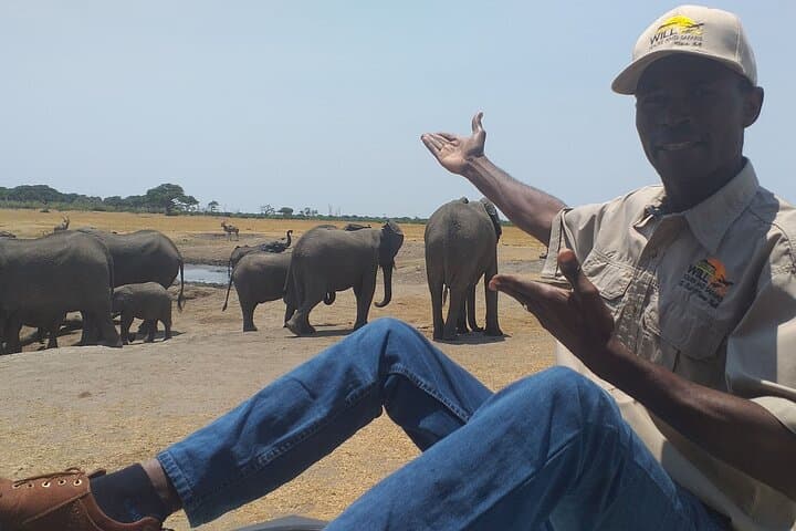 Hwange National Park Full-Day Safari from Victoria Falls