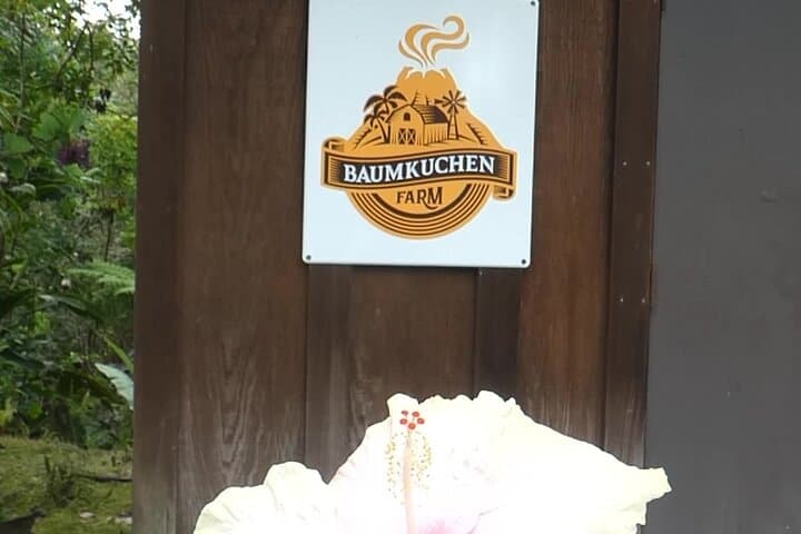 Baumkuchen Farm Tour: Big Island Vanilla Greenhouse & German Tree Cake Experience photo 5
