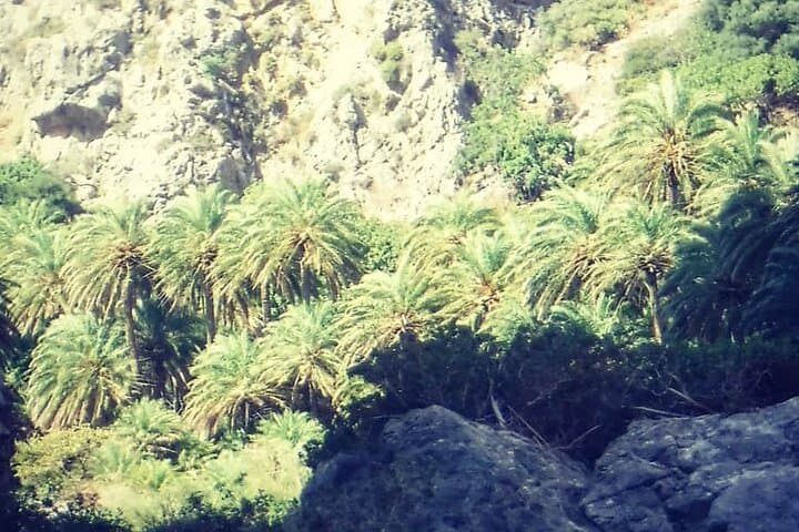 River Trekking Kourtaliotiko Gorge — Preveli Palm Beach Adventure photo 4