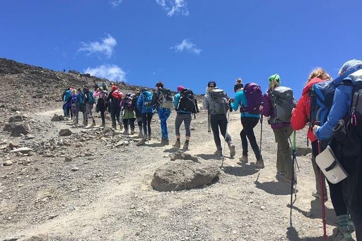 8-Day-Private-Kilimanjaro-Climb-Lemosho-Route-Guide
