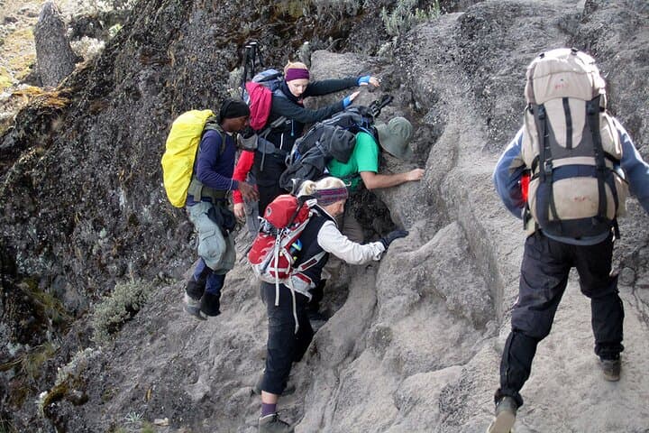 8-Day-Private-Kilimanjaro-Climb-Lemosho-Route-Guide photo 2