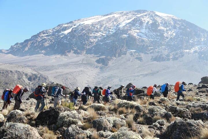 8-Day-Private-Kilimanjaro-Climb-Lemosho-Route-Guide photo 3