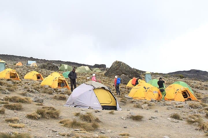 8-Day-Private-Kilimanjaro-Climb-Lemosho-Route-Guide photo 4