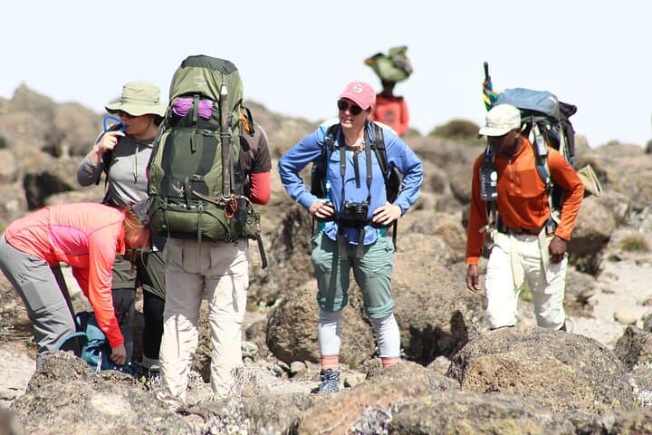 8-Day-Private-Kilimanjaro-Climb-Lemosho-Route-Guide photo 6