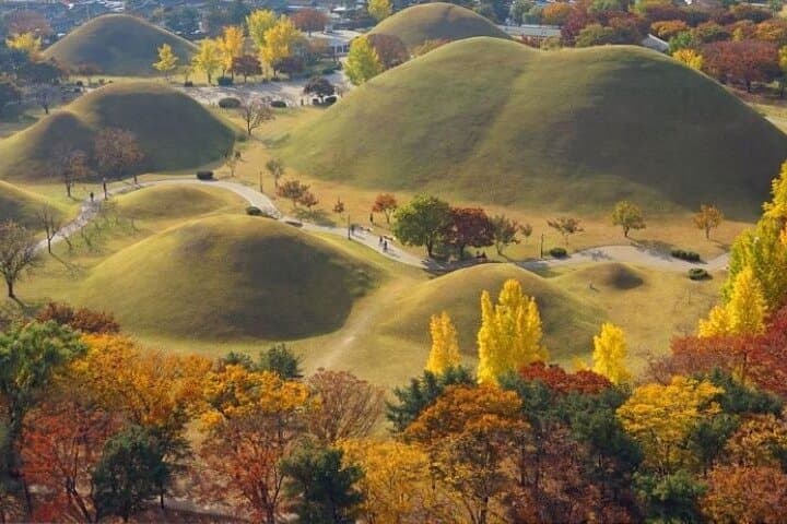 Gyeongju 2-Day Customized Cultural Tour — Bulguksa, Seokguram & Namsan photo 5
