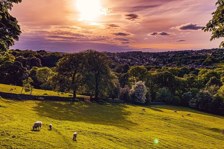 Explore Sheffield: Hidden-Gems Tour App & Big Britain Quiz 1-Day Pass photo 6