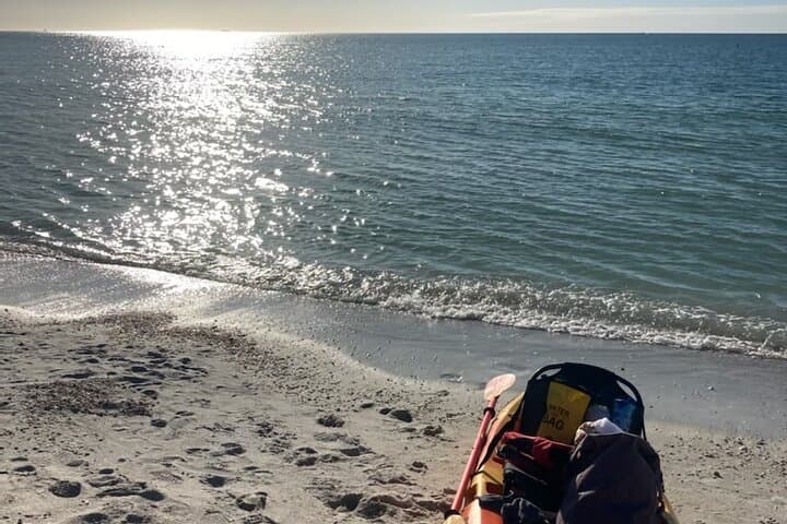 Kayak Mangrove Tunnels to Shell Key: Private Guided Expedition from St. Pete photo 6