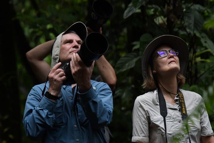 5-Hour Monteverde Cloud Forest Birdwatching & Photography Tour photo 2