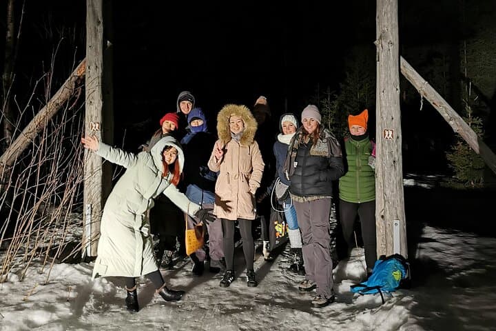 Kemi-Tornio Northern Lights Hunt: Guided Aurora Chase with Pickup photo 3