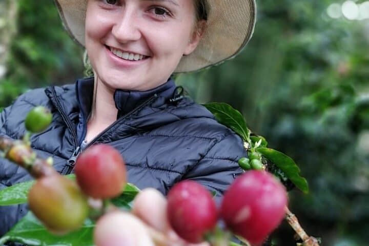 Cocora Valley Day Hike & Coffee Farm Tour from Salento — Wax Palms & Coffee Tasting photo 3