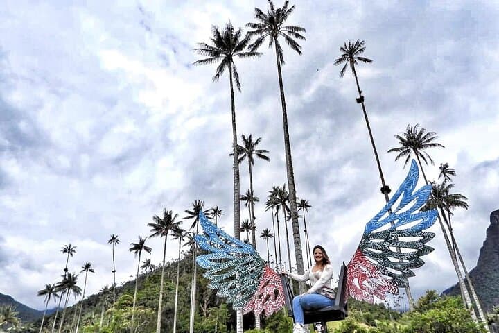 Horseback Riding in Cocora Valley & Salento: Wax Palms, Coffee Views, Day Tour photo 4