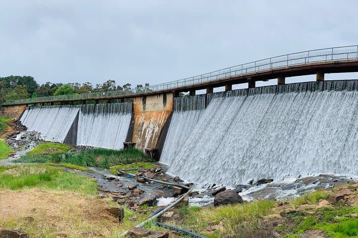 Mount and Lake Canobolas: 1‑Hour Scenic Trike Tour from Orange photo 2