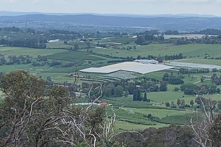 Mount and Lake Canobolas: 1‑Hour Scenic Trike Tour from Orange photo 4