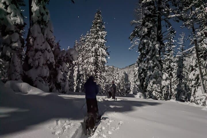Moonlit Snowshoe Tour at Page Meadows — Tahoe National Forest Night Hike photo 2
