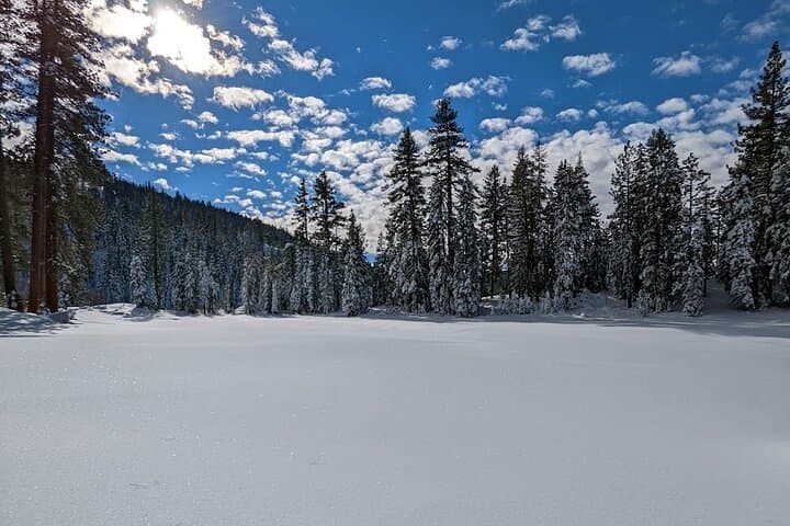 Moonlit Snowshoe Tour at Page Meadows — Tahoe National Forest Night Hike photo 5