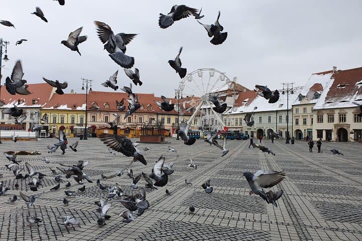 Private Day Trip to Sibiu from Bucharest: Full-Day City Tour & Monastery Visit photo 6