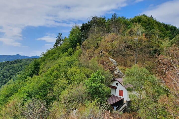 8-Day Private Romania Tour: Transylvania, Maramures & Bucovina Painted Monasteries photo 5