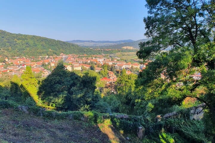 One-Day Private Tour from Bucharest: Bran Castle, Peles Castle & Brasov photo 5