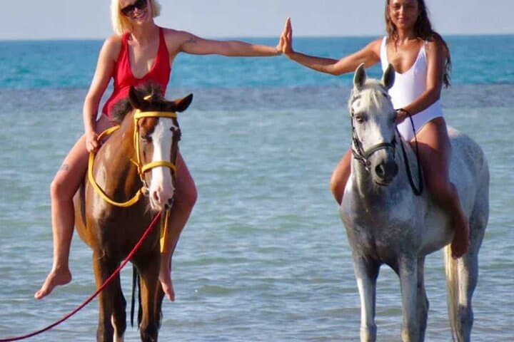 Hurghada Horse Safari at Sunrise or Sunset — Desert Rides Near the Red Sea photo 2