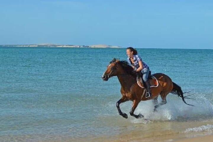 Hurghada Horse Safari at Sunrise or Sunset — Desert Rides Near the Red Sea photo 4
