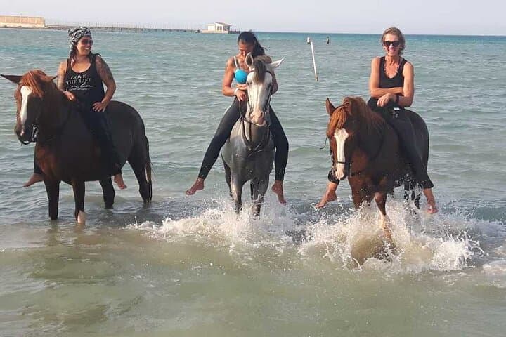 Hurghada Horse Safari at Sunrise or Sunset — Desert Rides Near the Red Sea photo 5
