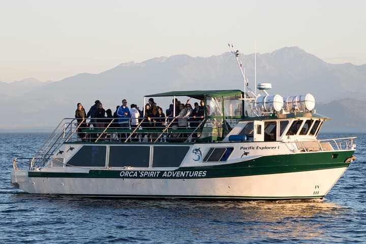 Victoria Covered Vessel Whale Watching: Orcas & Humpbacks in Juan de Fuca photo 6