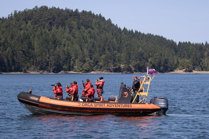 Victoria Zodiac Whale Watching Tour — Juan de Fuca & Haro Strait Wildlife Safari photo 6
