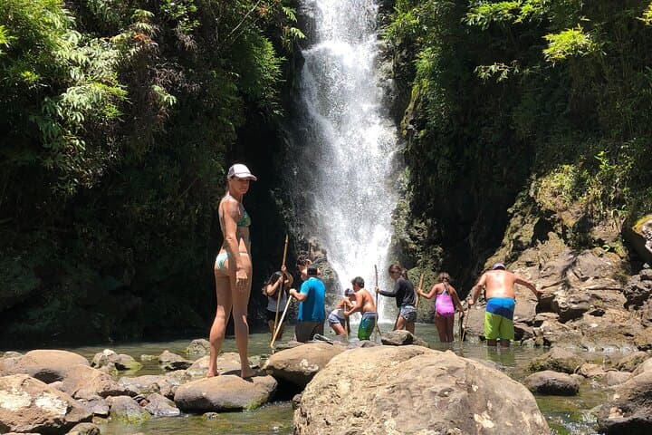 Road to Hana Full-Day Tour: Waterfalls, Red Sand & Black Sand Beaches photo 5