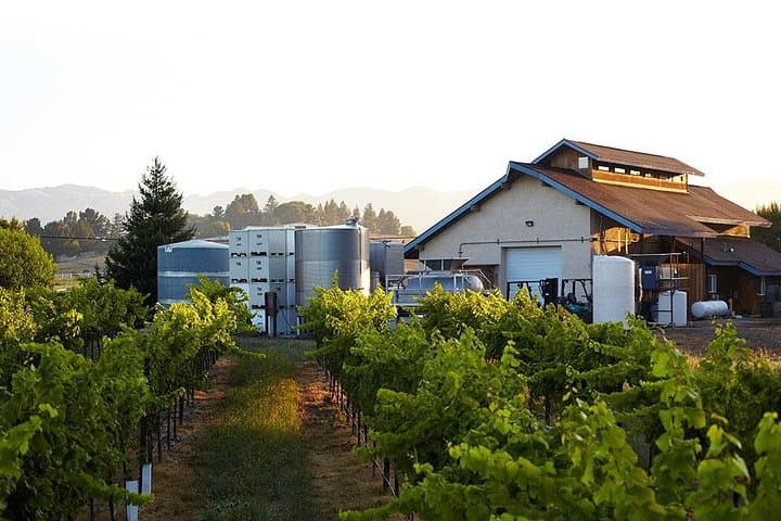 Private Sidecar Winery Tour in San Luis Obispo — Tandem Sidecar Wine Tasting photo 2