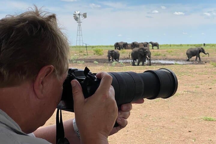 Private Full-Day (10-Hour) Open Vehicle Safari in Kruger National Park from Phalaborwa photo 5