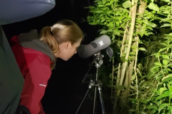 Monteverde Night Walk: Guided Nocturnal Wildlife Tour in the Cloud Forest photo 5