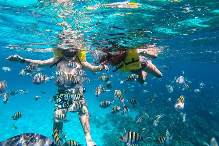 Roatan West End Boat and Snorkel: Blue Channel, Aquarium & Turtle Crossing photo 2