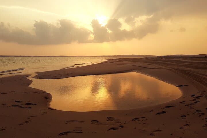 Doha Desert Safari: Sunrise or Sunset Dune Bashing, Camel Ride & Sandboarding photo 2