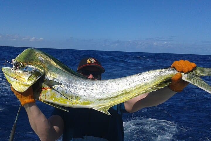 Fort Lauderdale Deep-Sea Fishing Aboard a 52' Hatteras photo 4