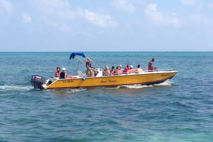 Caye Caulker Barrier Reef Snorkel: 3-Hour Shark Ray Alley, Tarpon Town & Seahorse City Tour photo 2