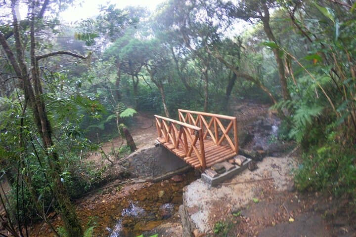 Knuckles Mountains Day Trek from Kandy — Seven Waterfalls & Village Hike photo 6