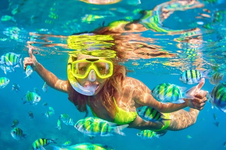 Private Lovina Dolphin Watching and Snorkeling — Full-Day Boat Tour from Bali photo 5